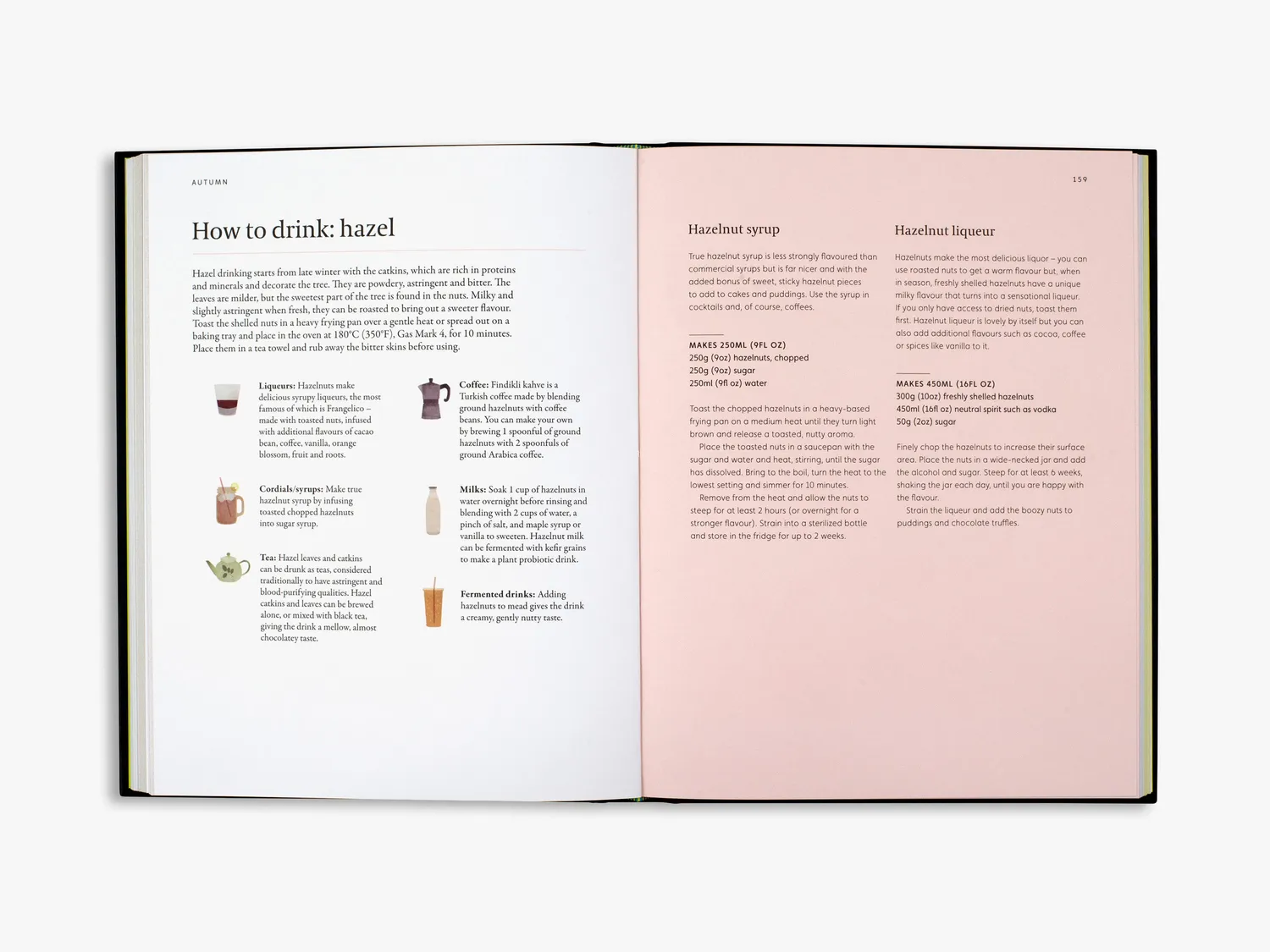 Thames & Hudson A Forager's Guide to Wild Drinks kogebog