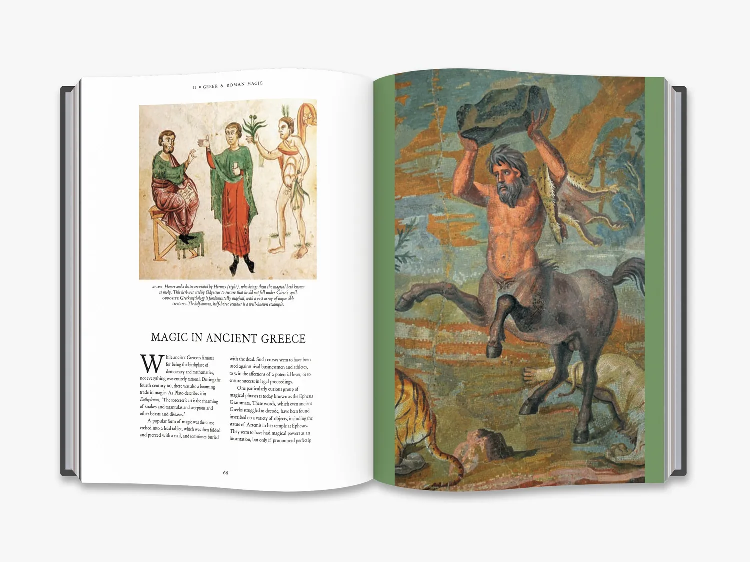 Thames & Hudson The Occult Witchcraft Magic bog magi