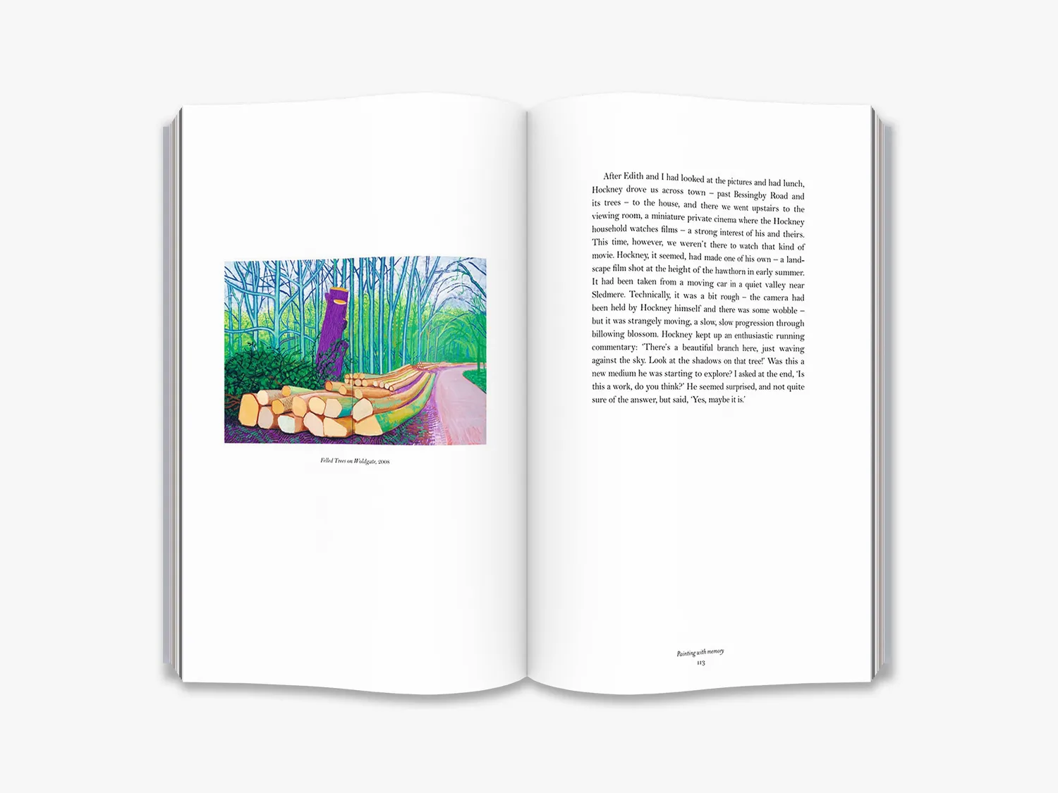 Thames & Hudson A Bigger Message bog – Hockney samtaler