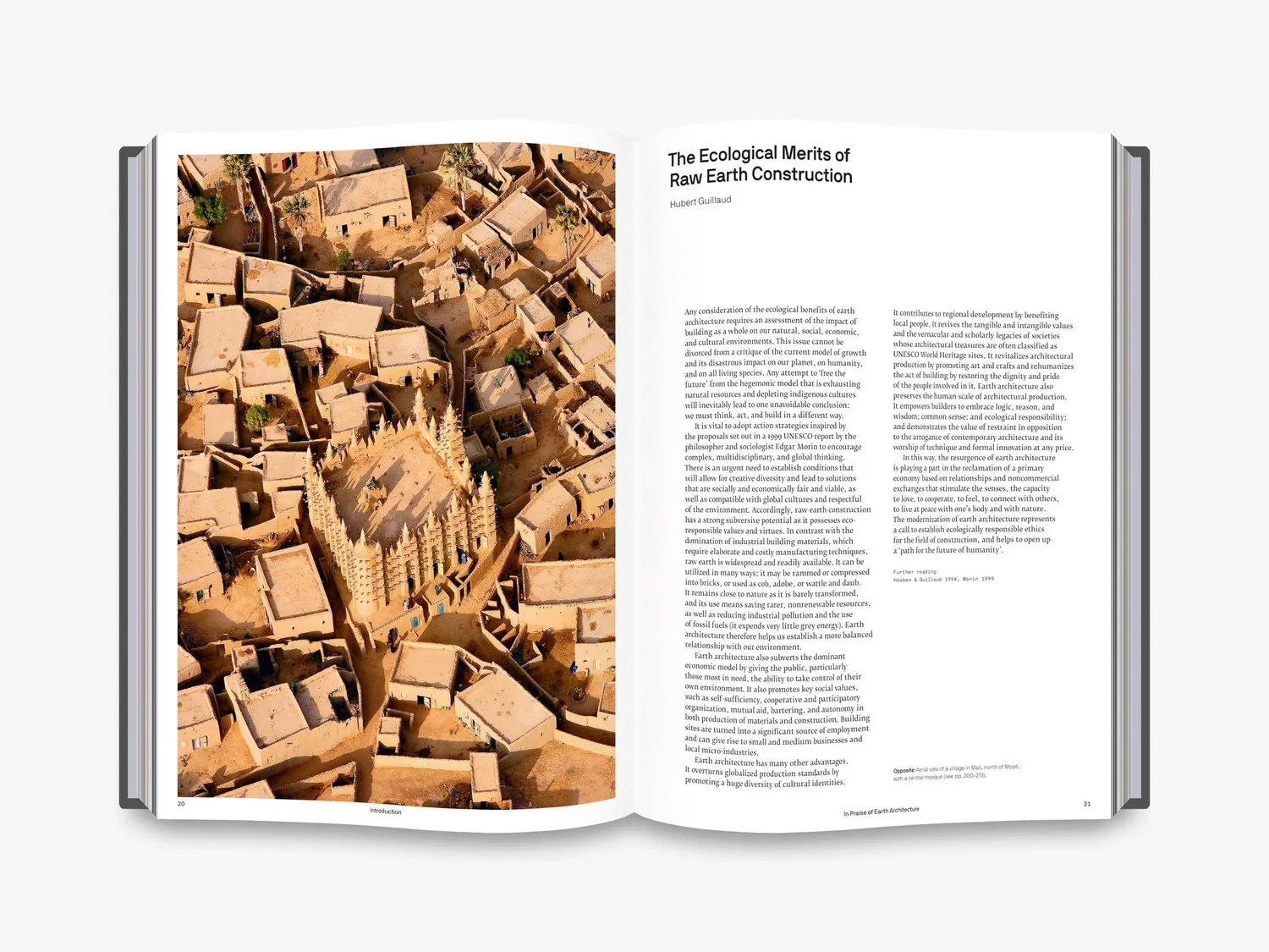 Thames & Hudson The Art of Earth Architecture bog