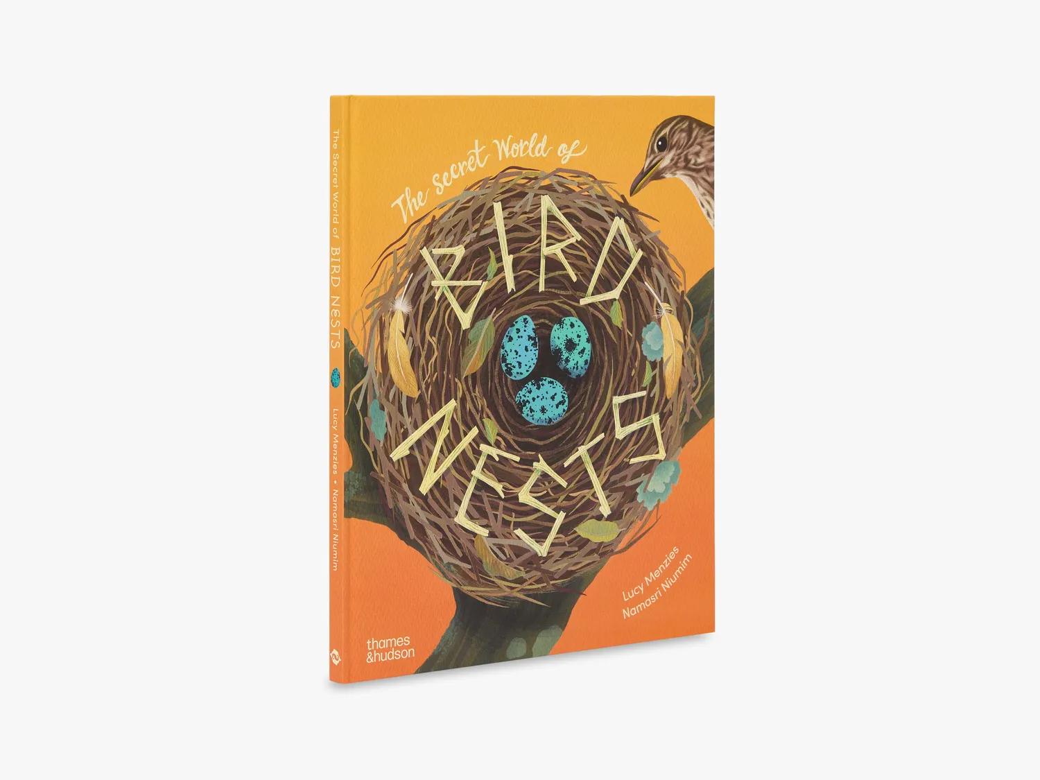 Thames & Hudson Secret World Bird Nests børnebog illustreret