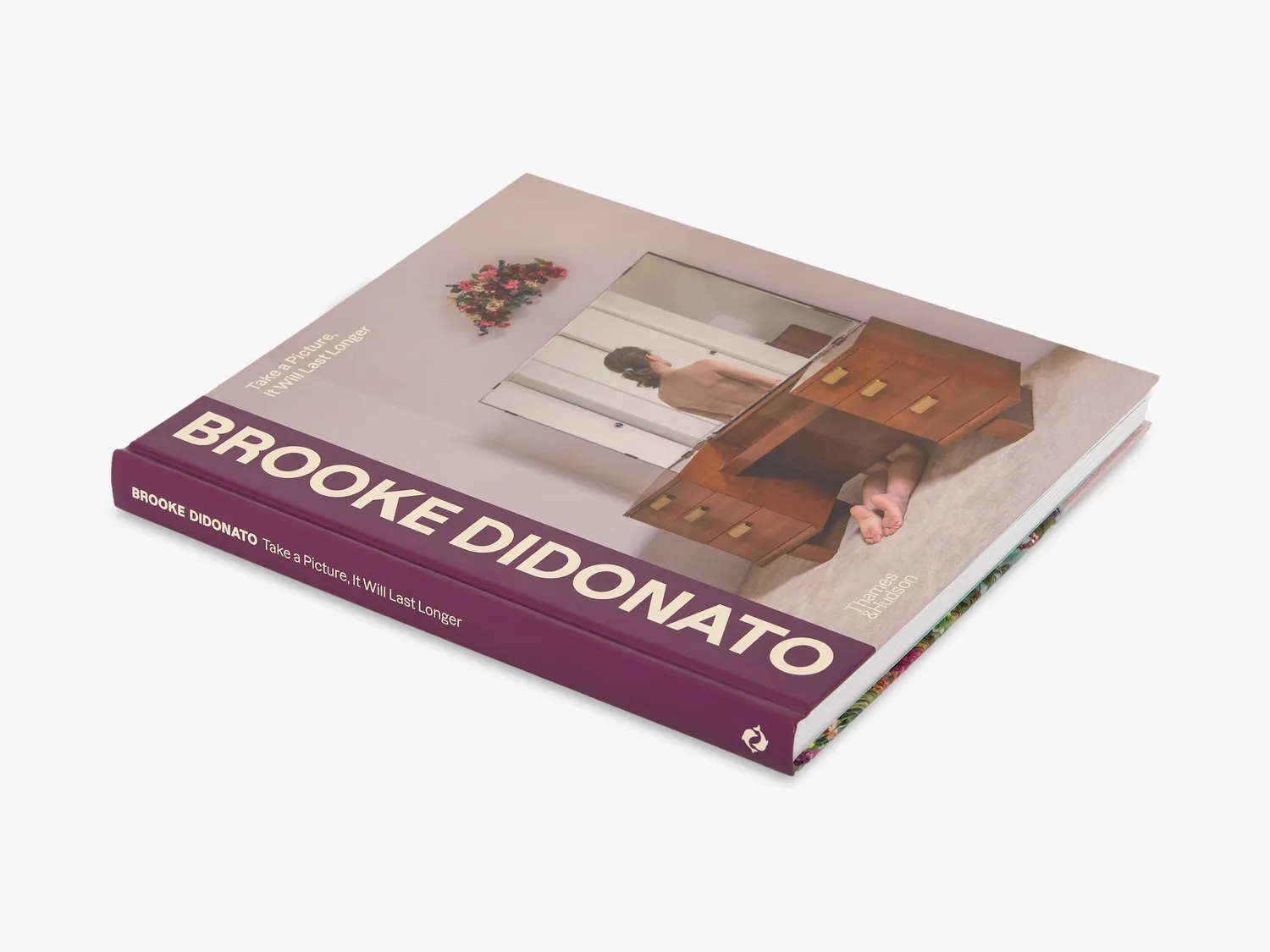 Thames & Hudson Brooke DiDonato fotobog Take a Picture
