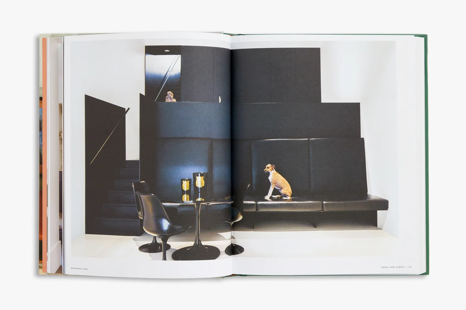 Thames & Hudson Resident Dog bog om huse og hunde
