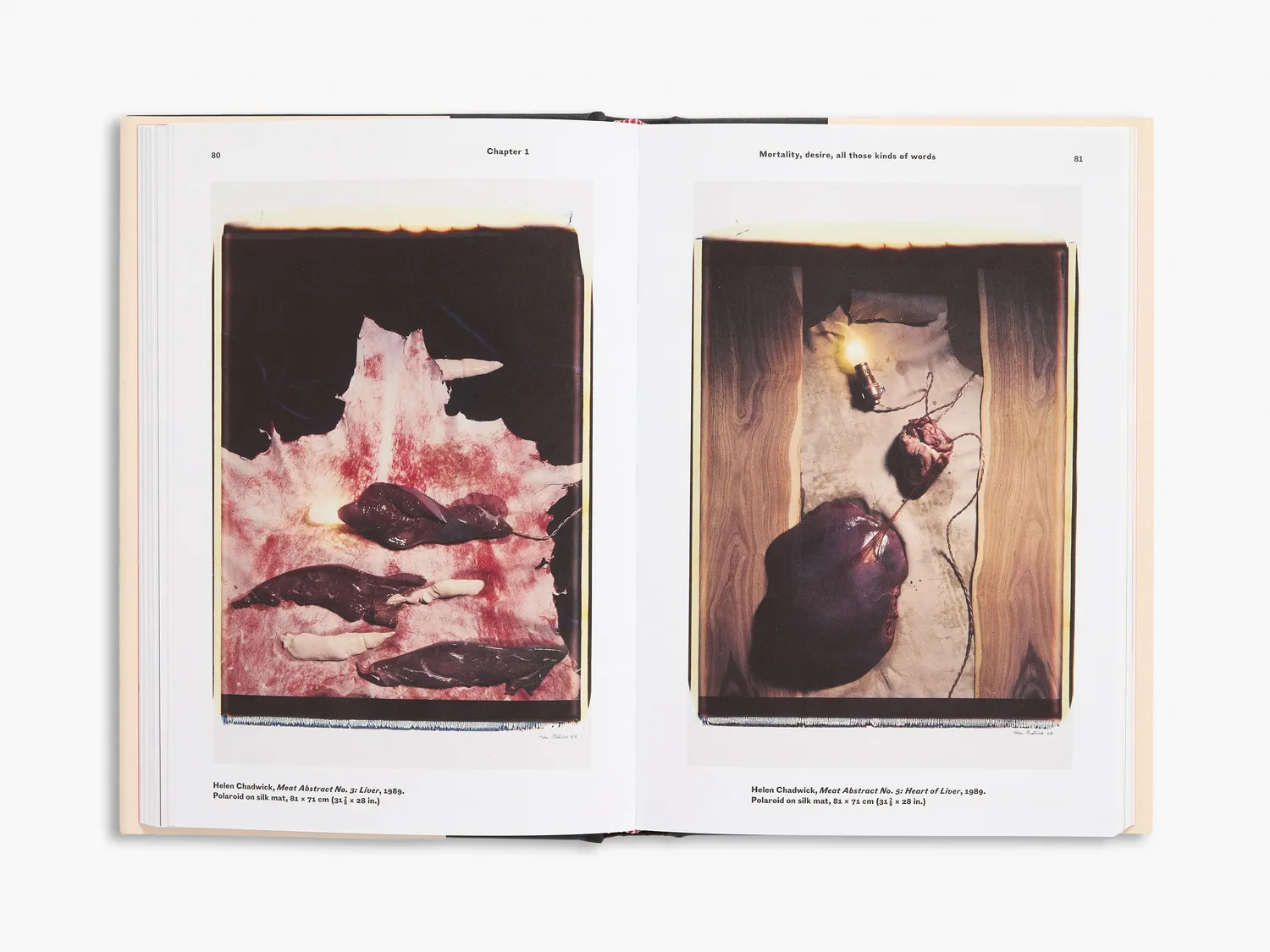 Thames & Hudson Helen Chadwick bog kunstmonografi
