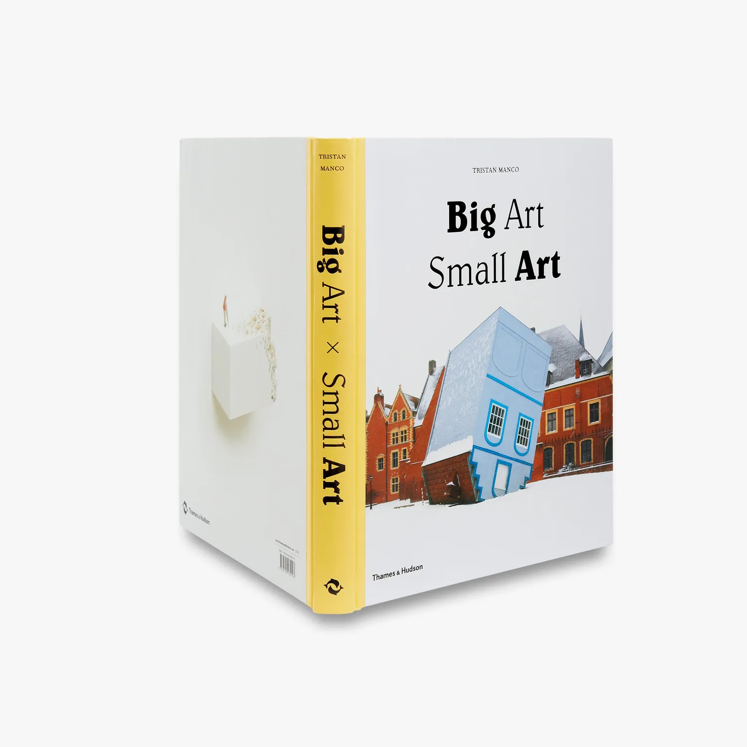 Thames & Hudson Big Art Small Art bog – kunst om skala