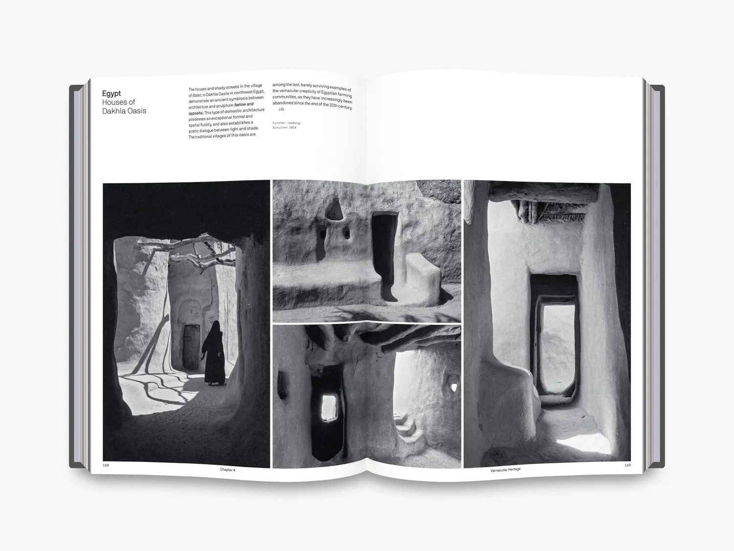 Thames & Hudson The Art of Earth Architecture bog