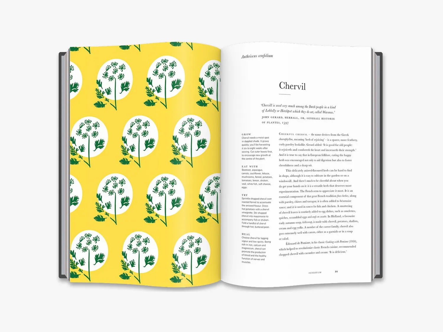 Thames & Hudson Herbarium bog om urter