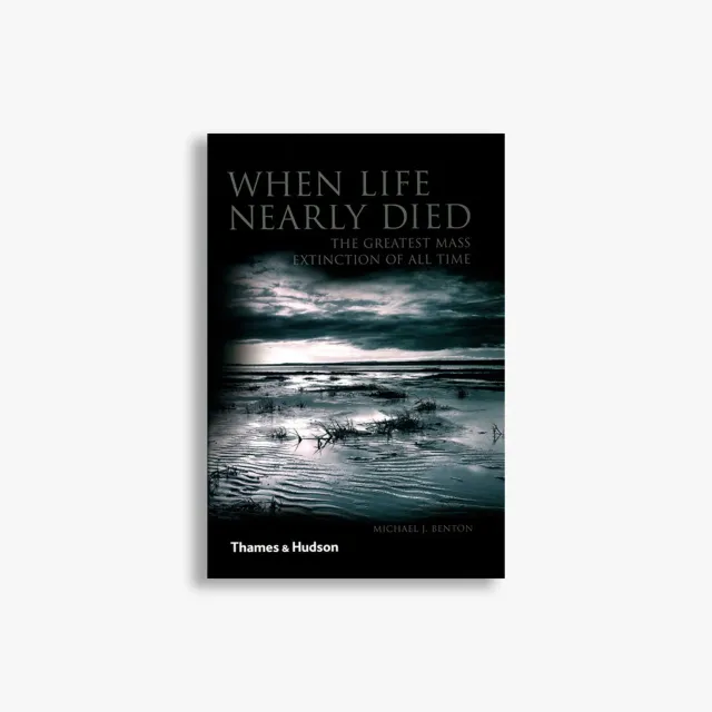 Thames & Hudson When Life Nearly Died bog masseuddøen