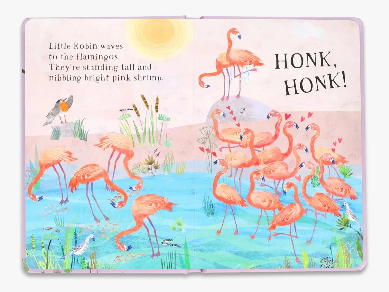The Big Book Little Robin's Book of Birds papbog fugle