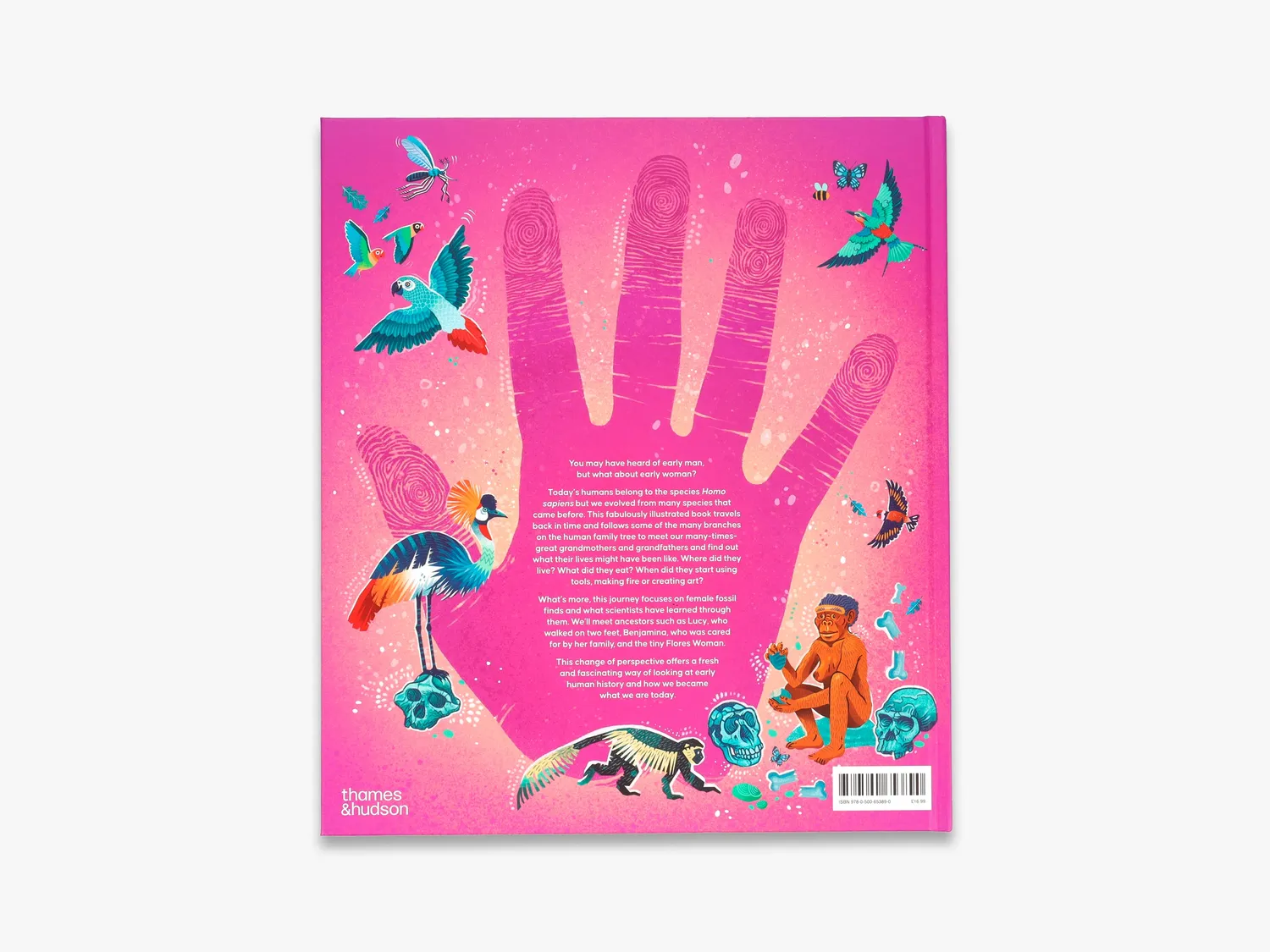 Thames & Hudson Femina Sapiens fagbog illustreret