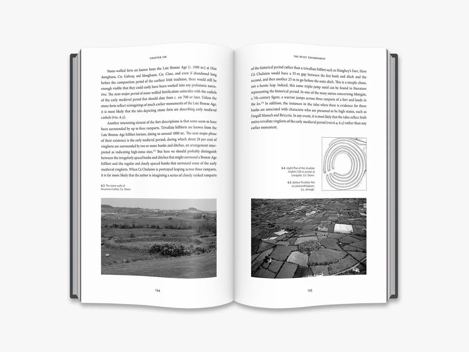Thames & Hudson In Search of the Irish Dreamtime bog om mytologi