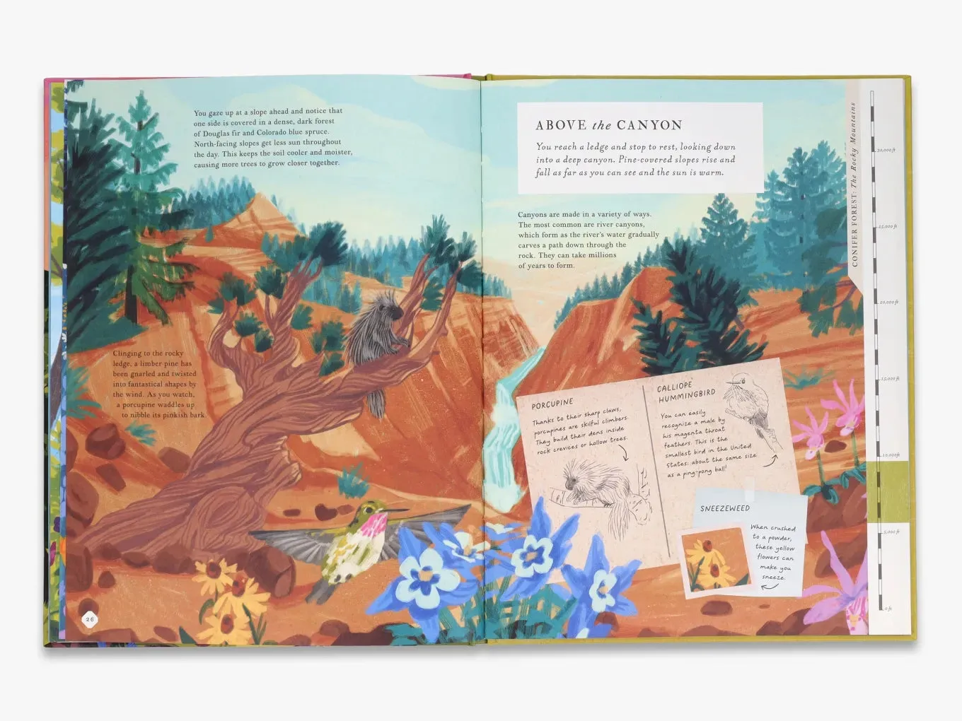 Thames & Hudson Young Explorers There's a Mountain in This Book børnebog