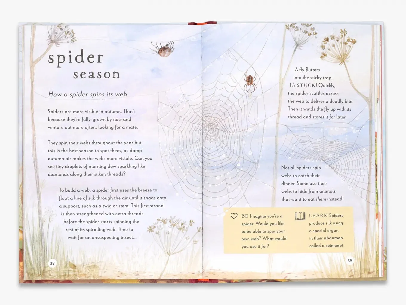 Thames & Hudson Field Guide to Autumn fagbog om efterår