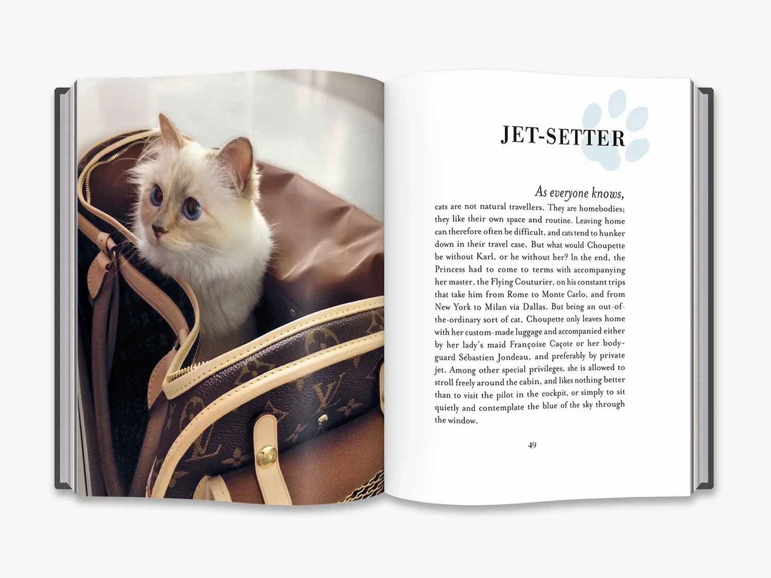 Thames & Hudson Choupette bog Karl Lagerfeld kat gave