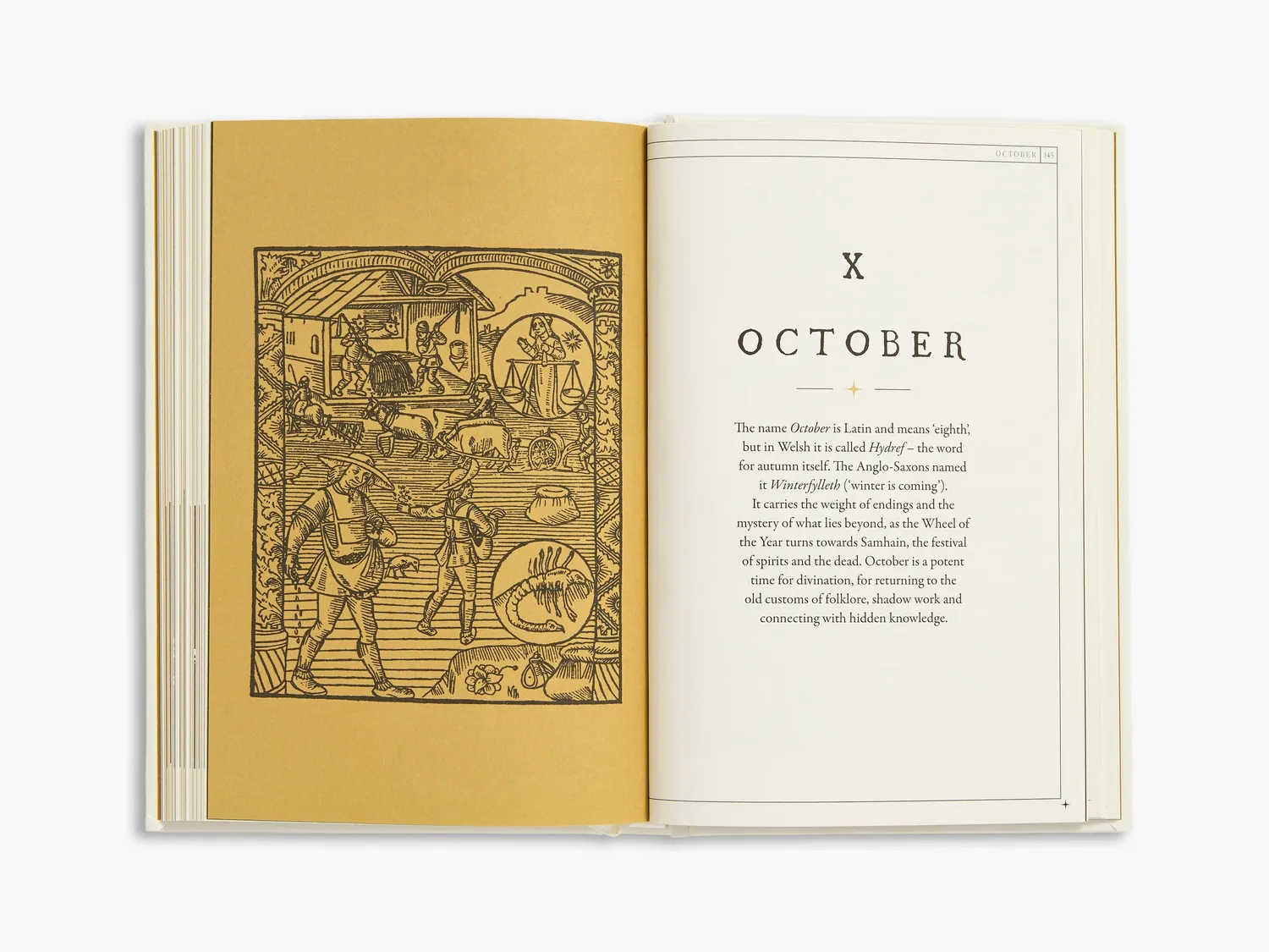Thames & Hudson Liz Williams Occult Set okkult bogsæt 2 bøger