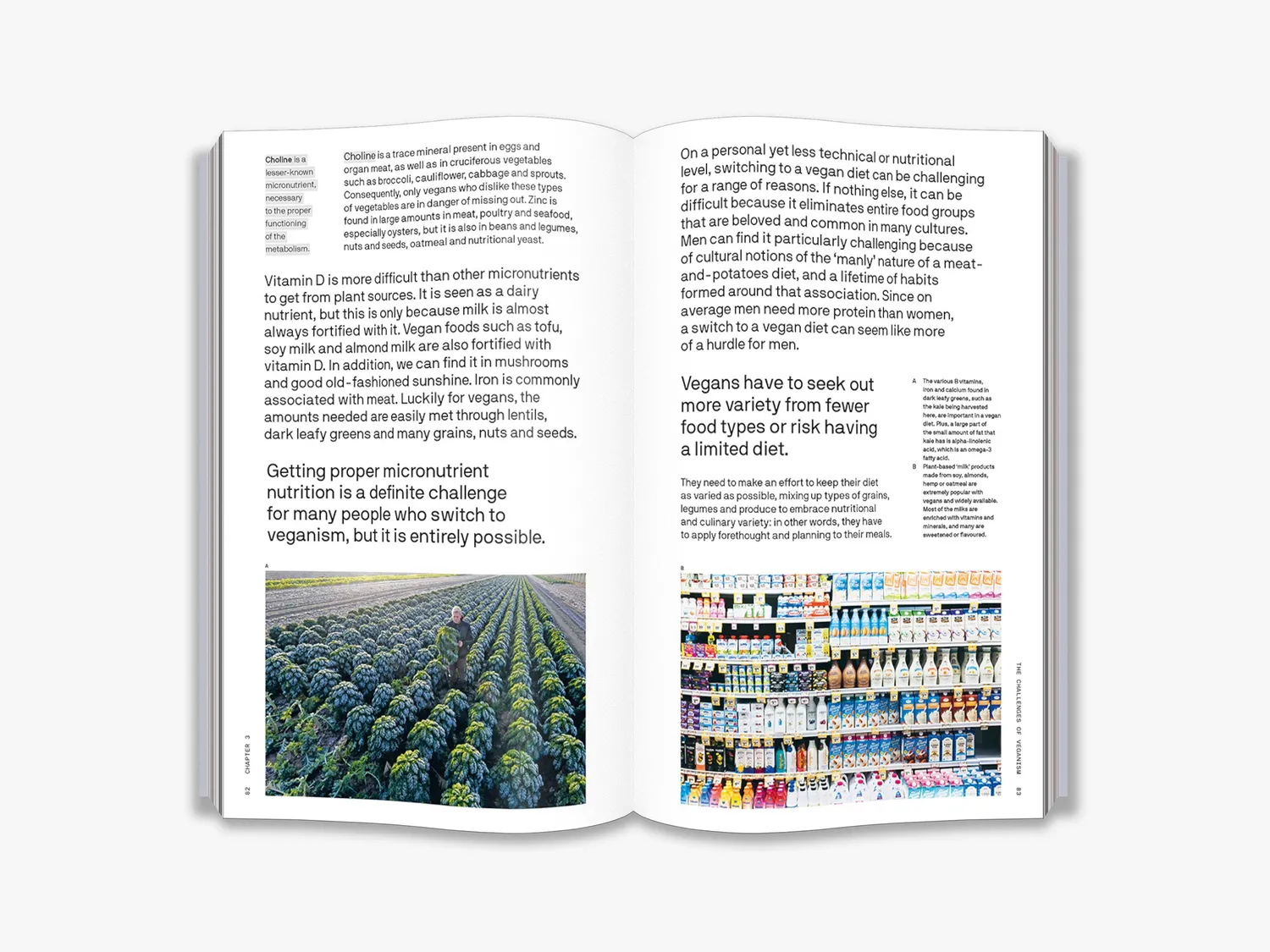 Thames & Hudson The Big Idea Should We All Be Vegan bog