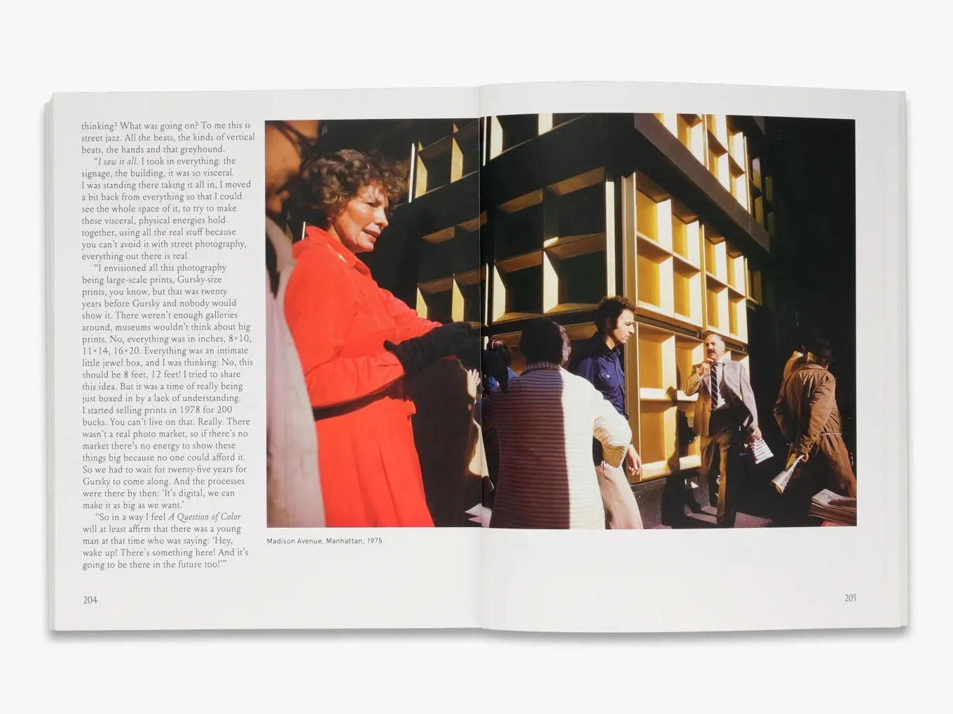 Thames & Hudson Meyerowitz A Question of Color fotobog