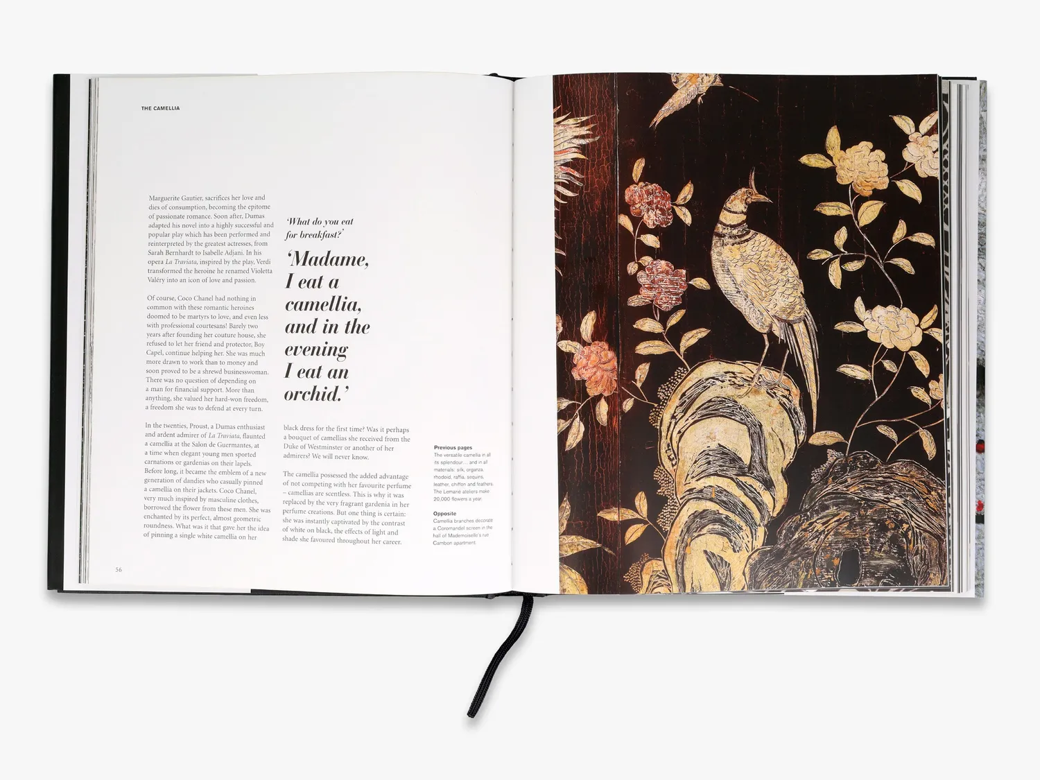 Thames & Hudson Chanel modebog om huset og No 5