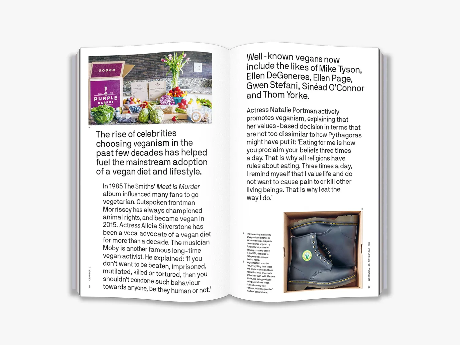 Thames & Hudson The Big Idea Should We All Be Vegan bog