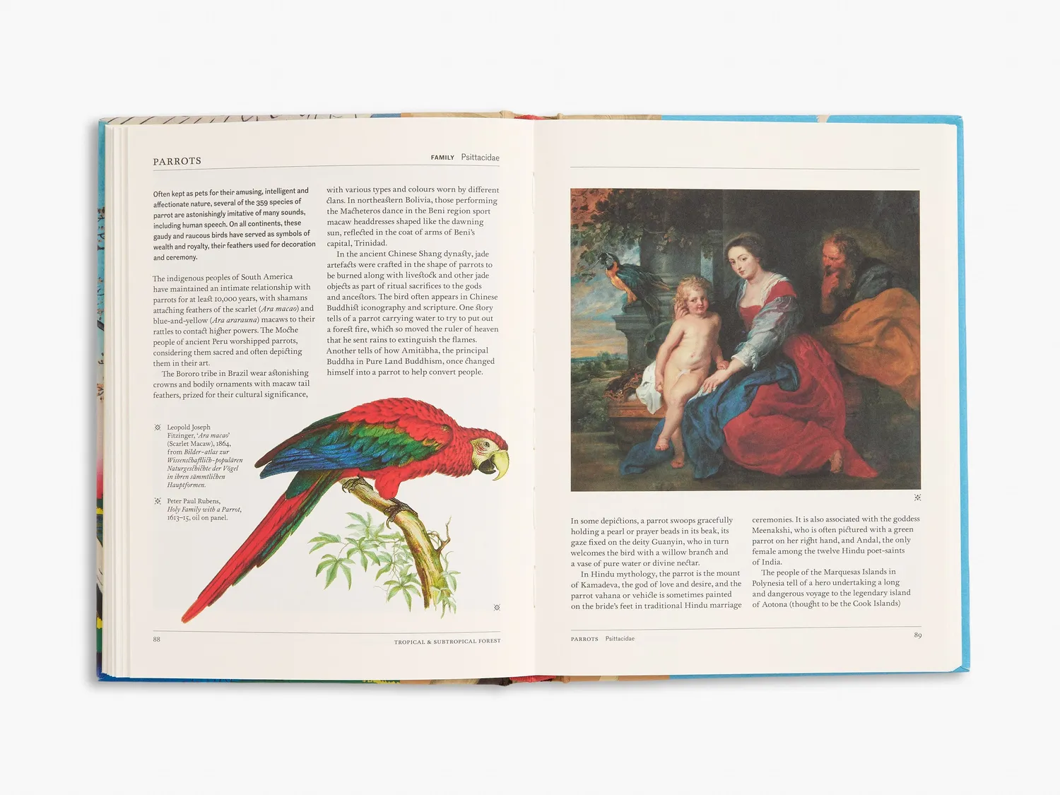Thames & Hudson The Secret Language of Birds bog – symbolik