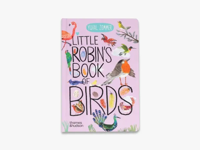 The Big Book Little Robin's Book of Birds papbog fugle