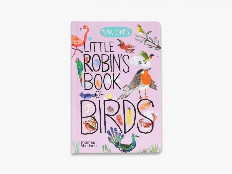 The Big Book Little Robin's Book of Birds papbog fugle