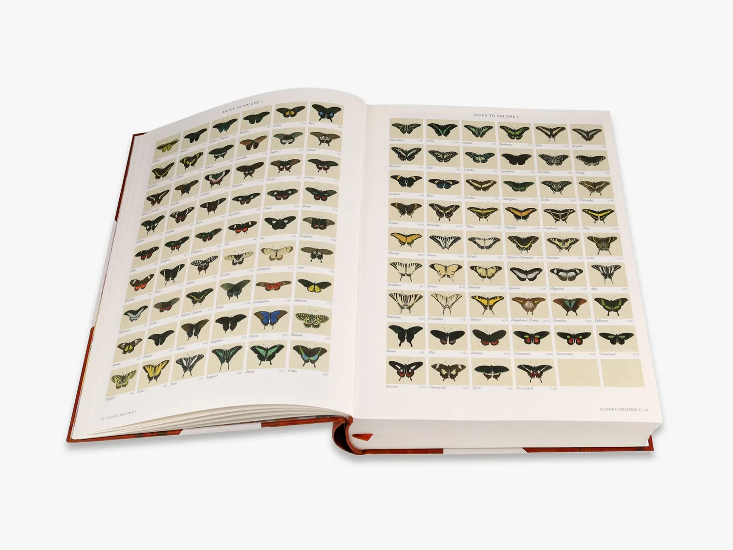 Thames & Hudson Iconotypes fagbog sommerfugle
