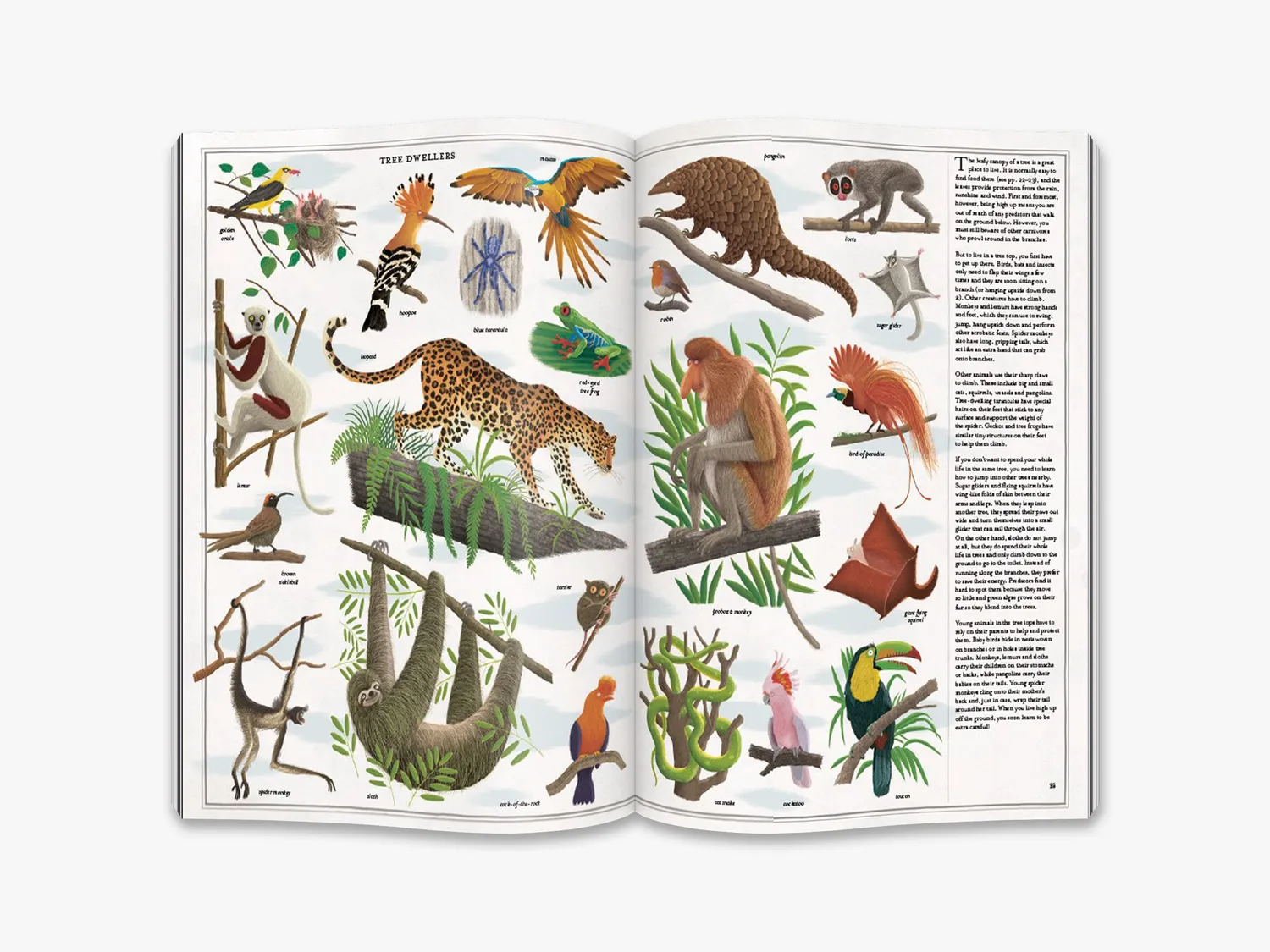 Thames & Hudson The Book of Trees børnebog natur