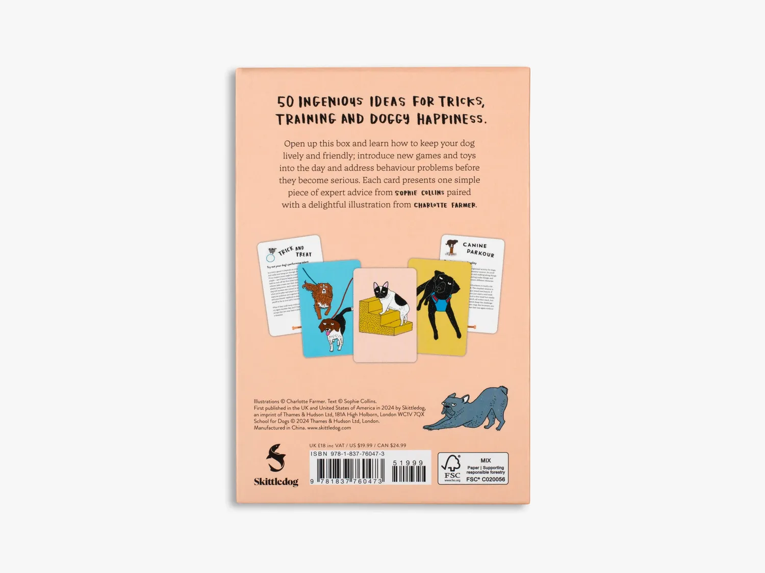 Thames & Hudson School For Dogs kortæske – træning