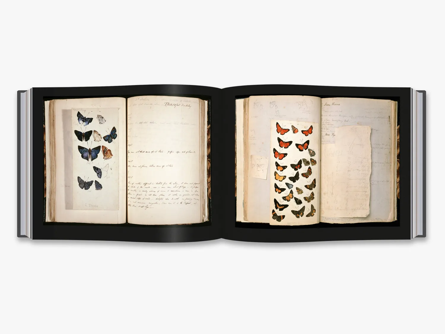 Thames & Hudson Explorers' Sketchbooks bog opdagelse