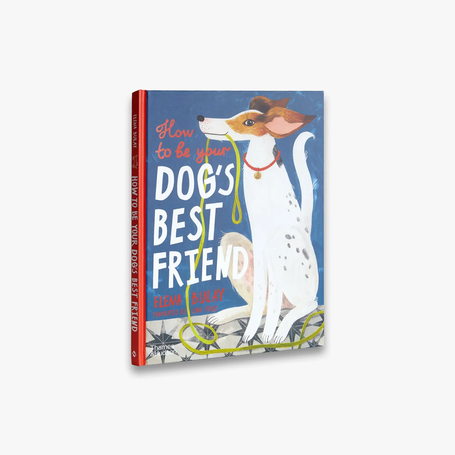 Thames & Hudson How to be Your Dog’s Best Friend bog