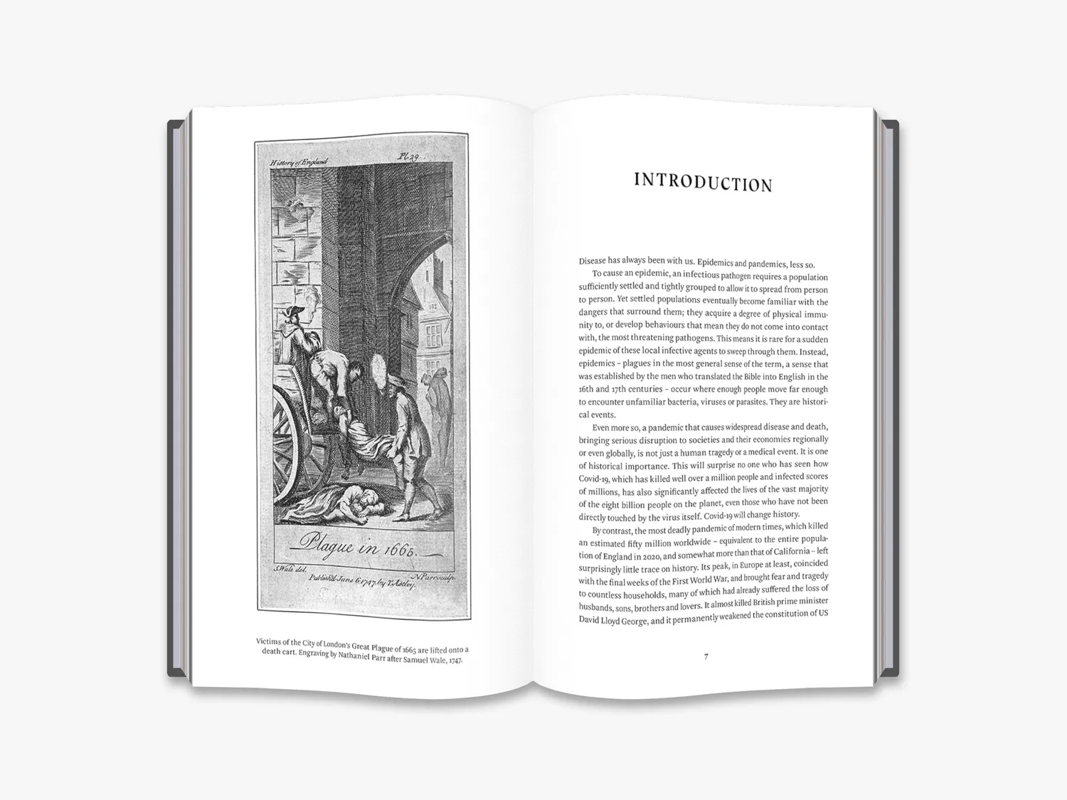 Thames & Hudson Plague Pestilence Pandemic bog Furtado