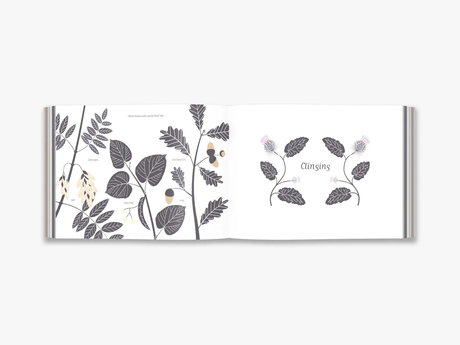 Thames & Hudson From Tiny Seeds bog frøenes rejse