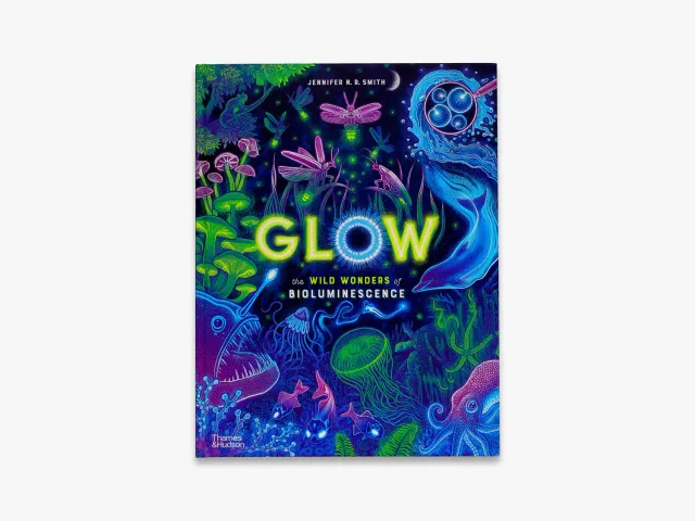 Thames & Hudson Wild Wonders Glow børnebog bioluminescens