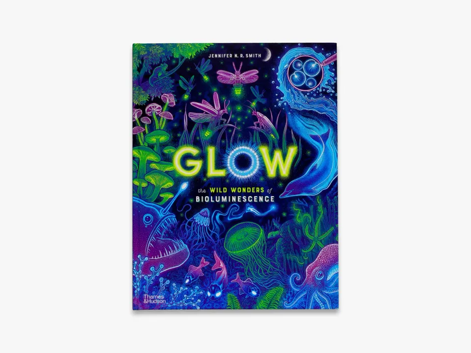 Thames & Hudson Wild Wonders Glow børnebog bioluminescens