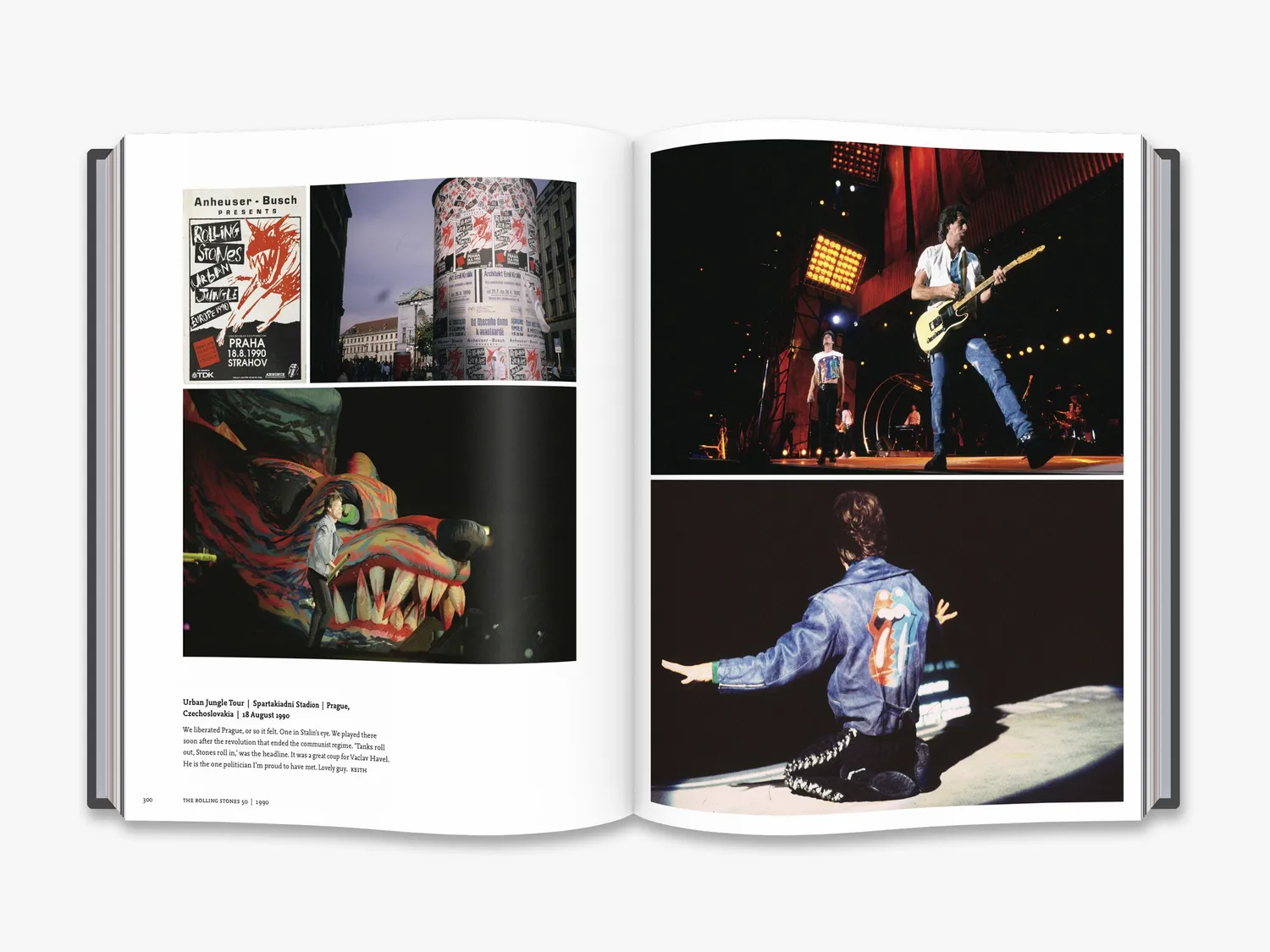 Thames & Hudson The Rolling Stones 50 fotobog rock