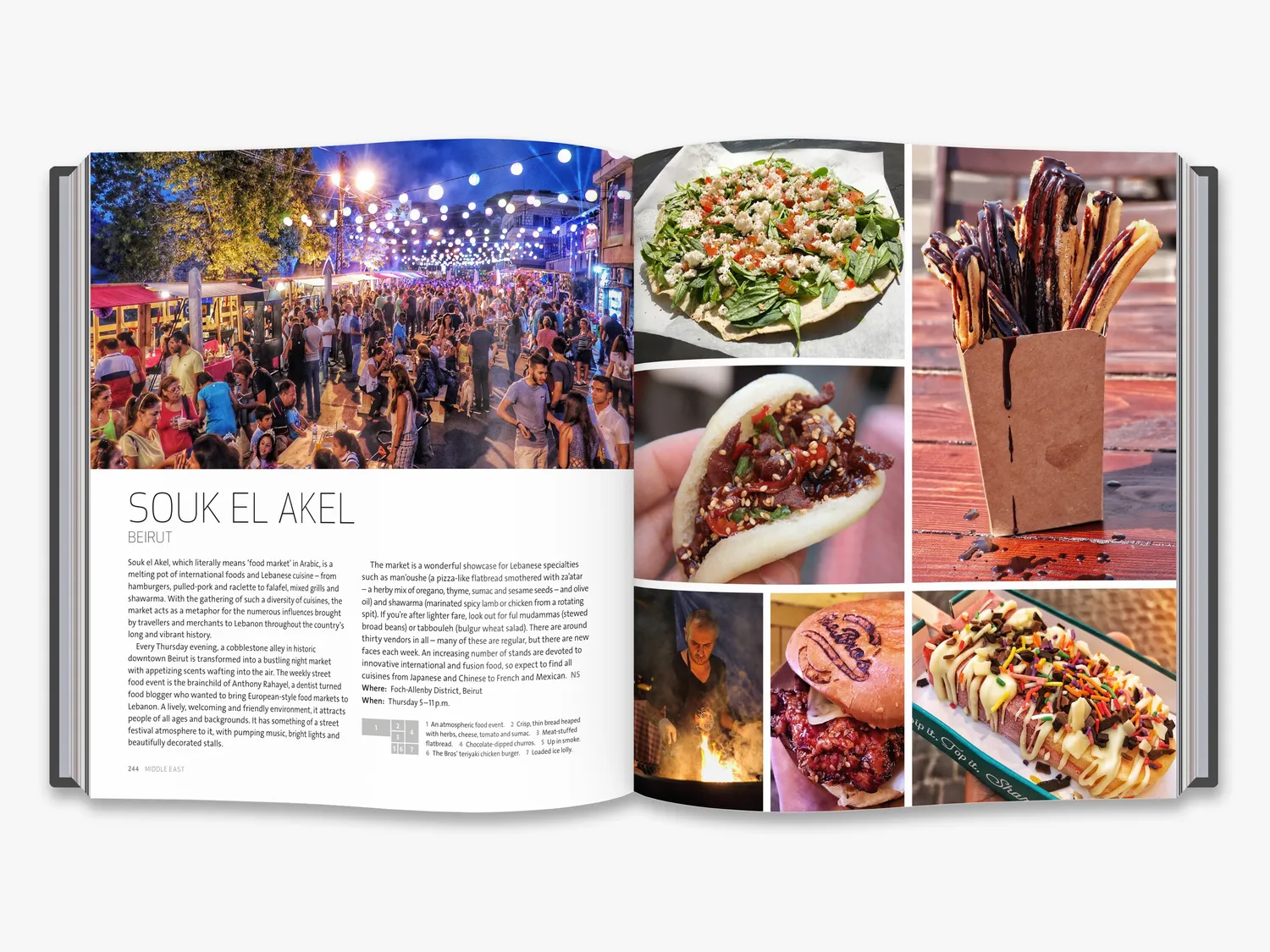 Thames & Hudson The World Atlas of Street Food kogebog illustreret