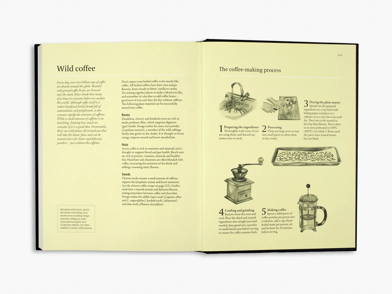 Thames & Hudson A Forager's Guide to Wild Drinks kogebog