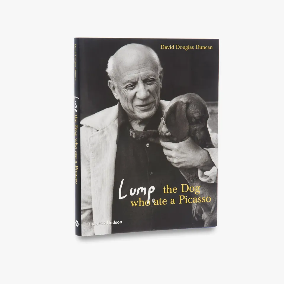 Thames & Hudson Lump kunstbog Picasso gravhund