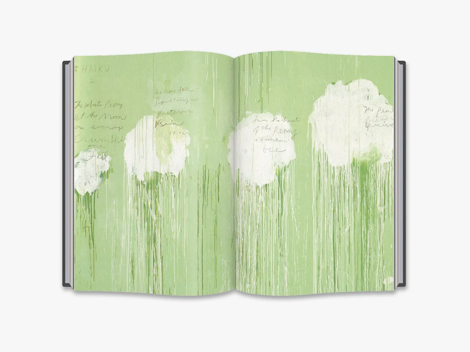 Thames & Hudson Cy Twombly bog monografi maleri