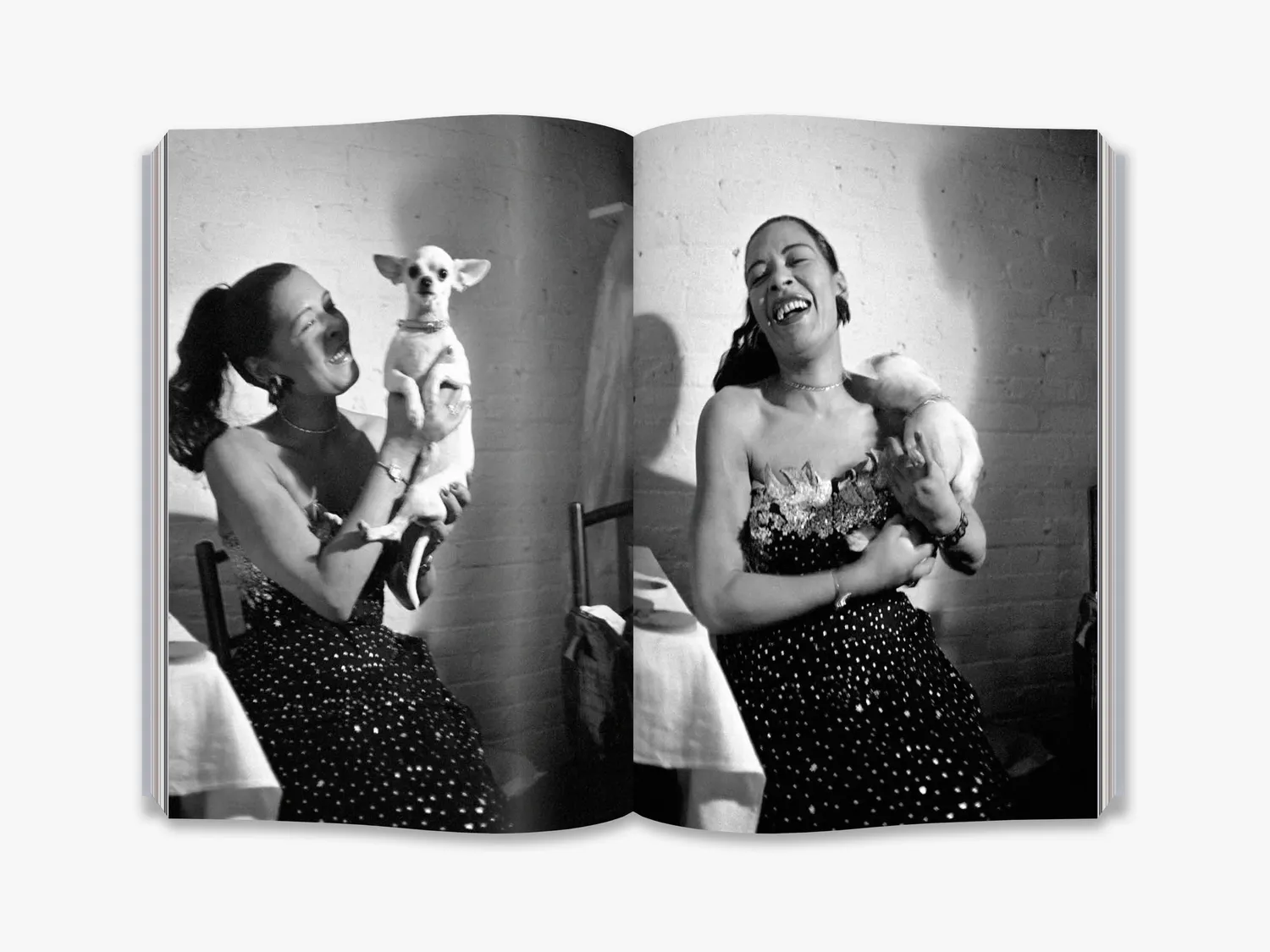 Thames & Hudson Billie Holiday at Sugar Hill fotobog