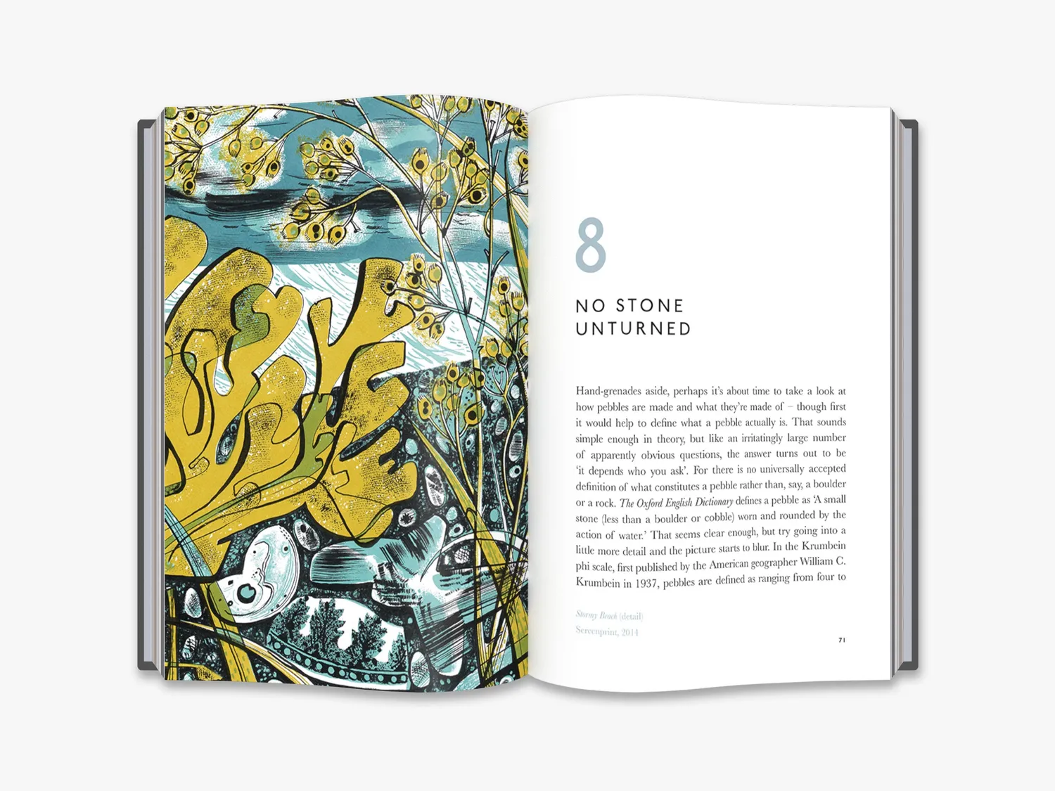 Thames & Hudson The Book of Pebbles naturbog