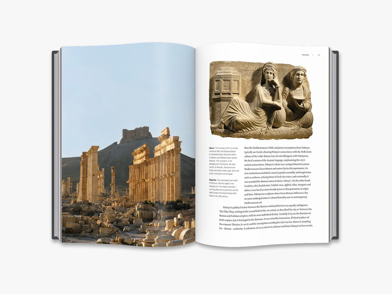 Thames & Hudson Cities That Shaped Ancient World historiebog