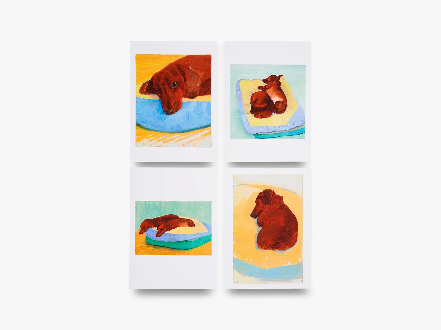 Thames & Hudson David Hockney Dog Days kort 16 stk
