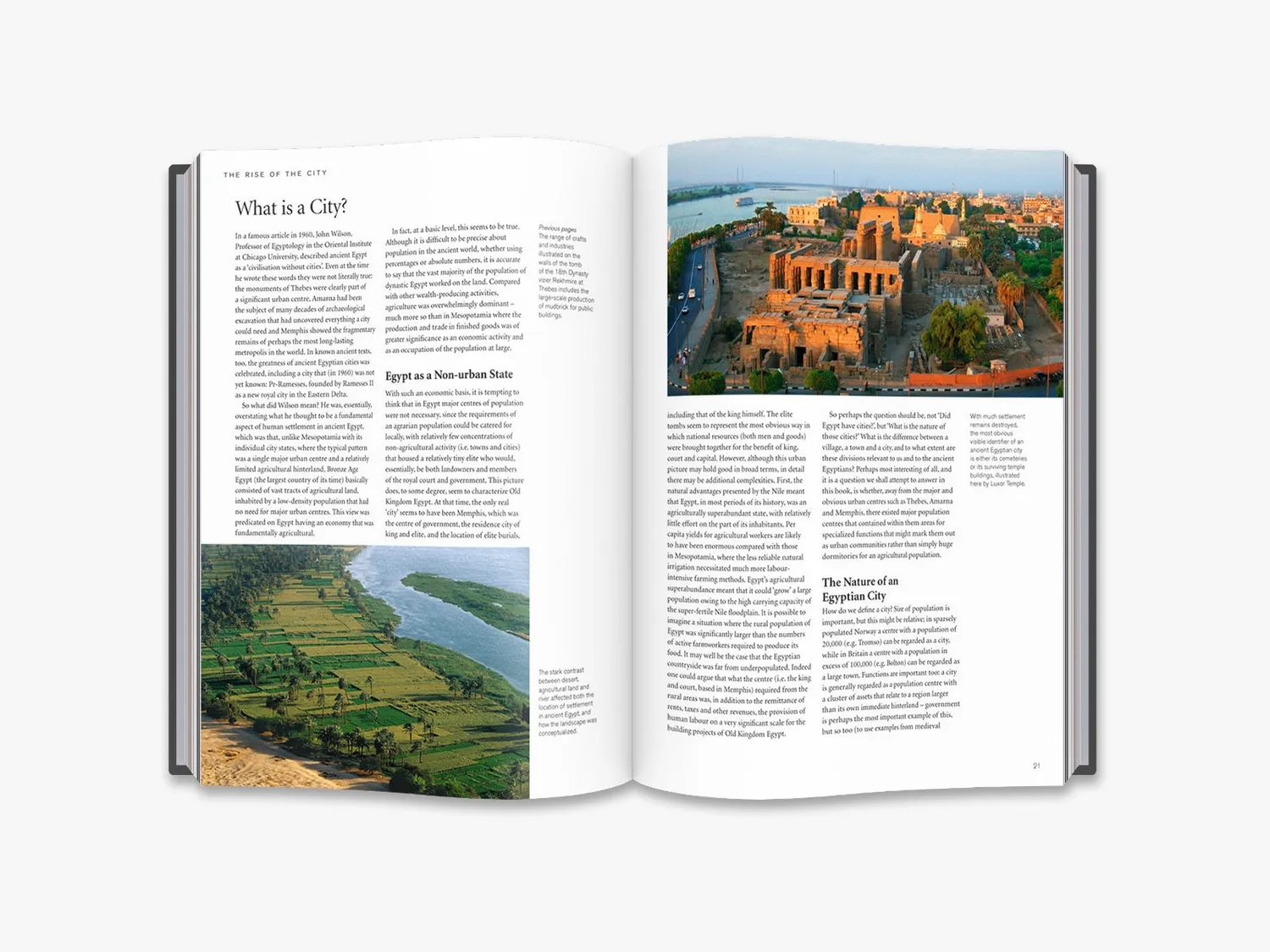 Thames & Hudson The Complete Cities of Ancient Egypt bog illustreret