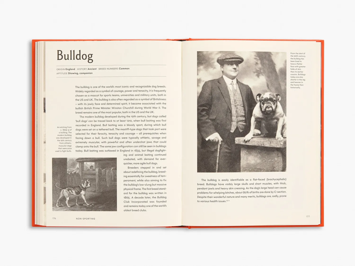 Thames & Hudson The Invention of the Dog bog om hunderacer