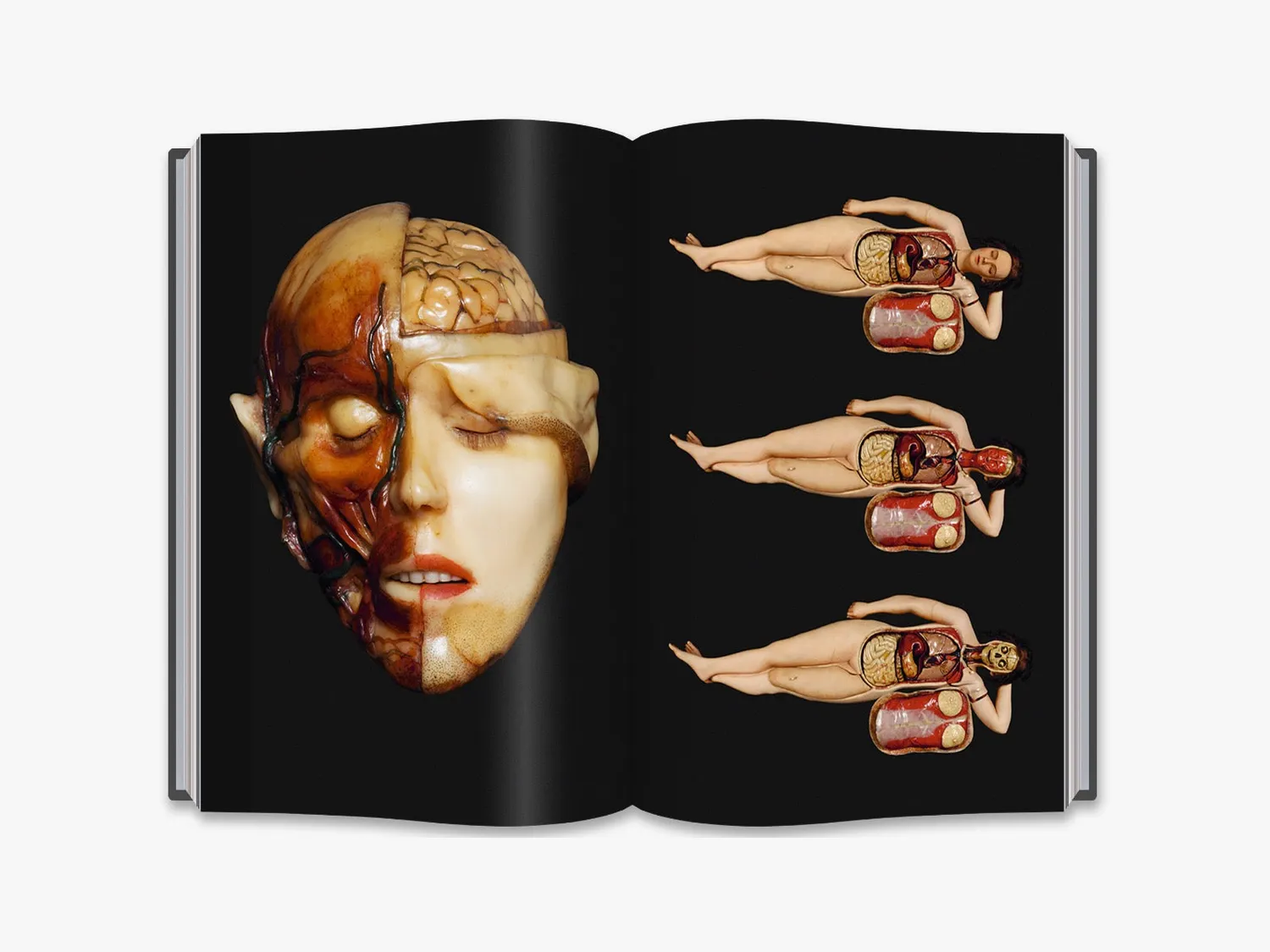 Thames & Hudson The Anatomical Venus bog voksanatomi