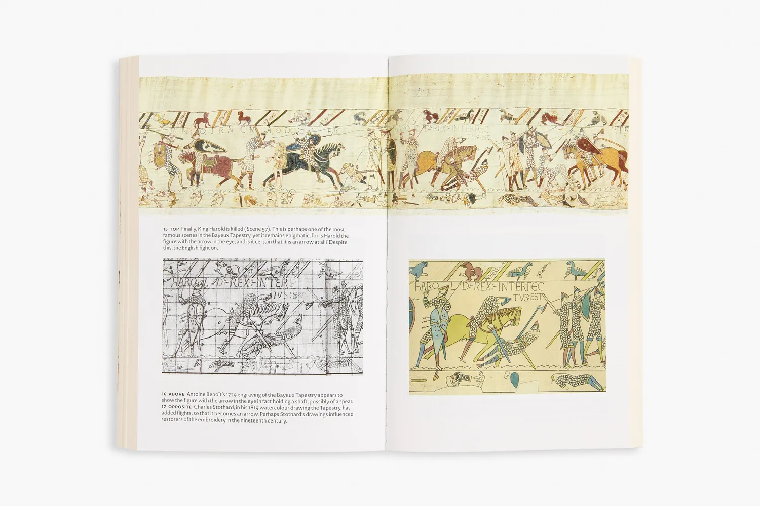 Thames & Hudson The Story of the Bayeux Tapestry bog