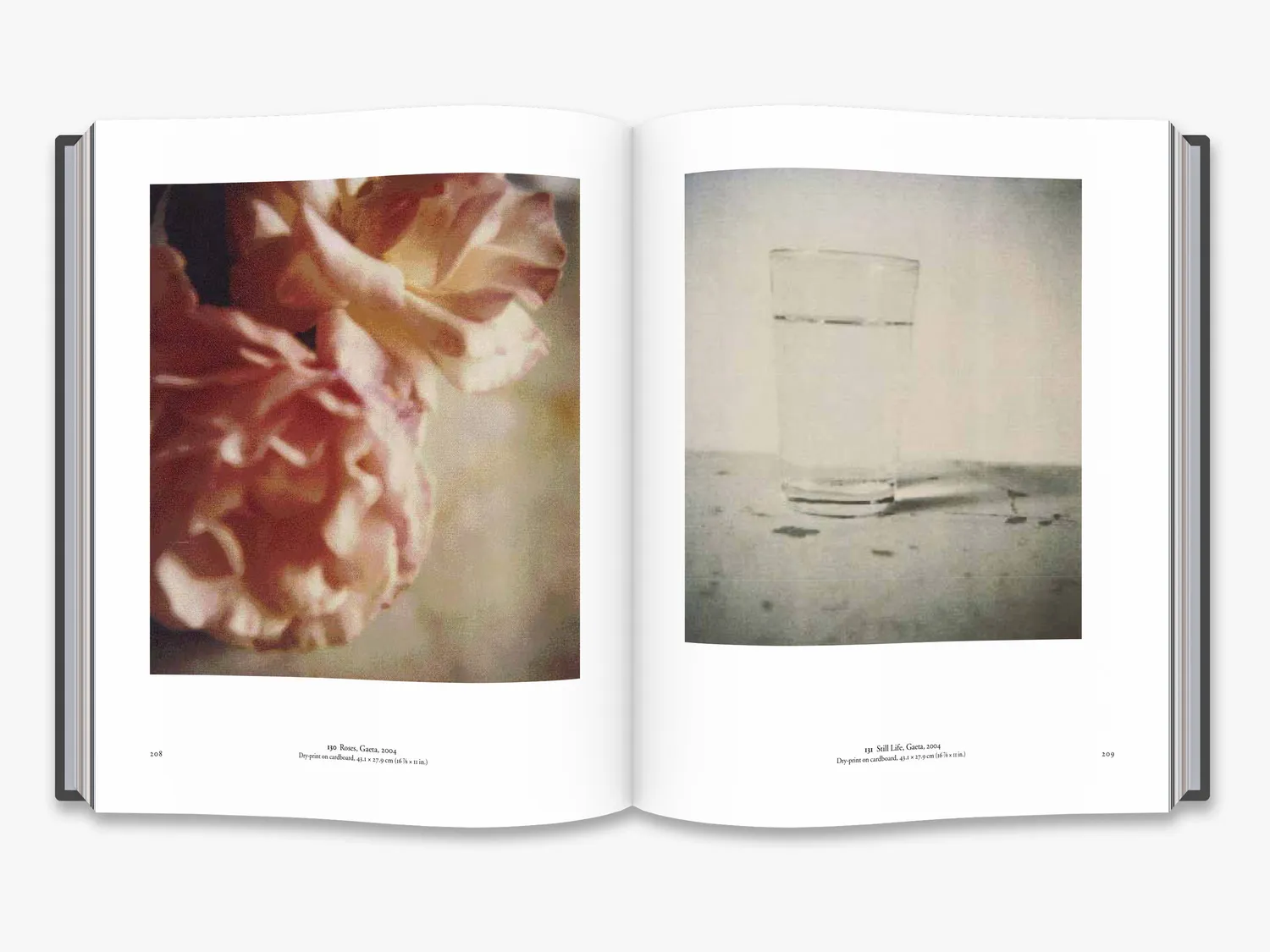 Thames & Hudson The Essential Cy Twombly bog monografi
