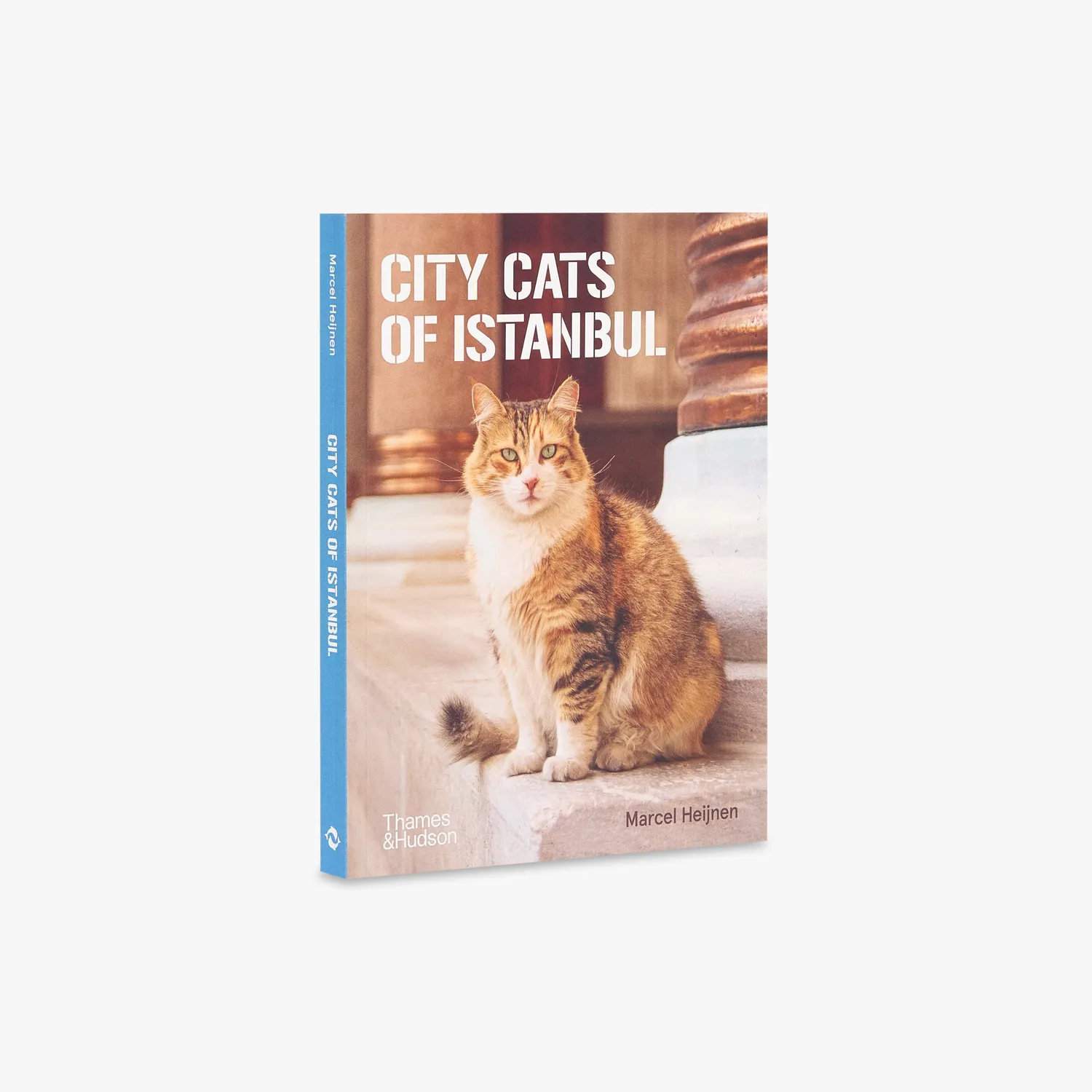 Thames & Hudson City Cats of Istanbul fotobog illustreret